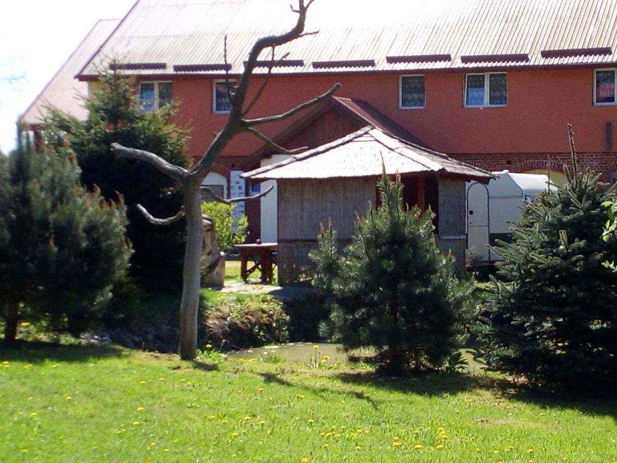 Agroturystyka Andrzejówka Czerniki Exterior foto