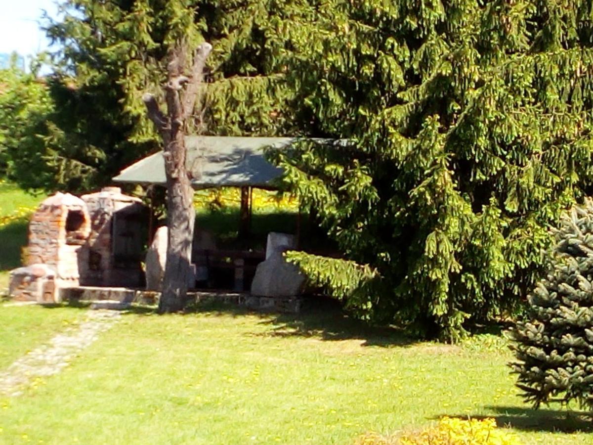 Agroturystyka Andrzejówka Czerniki Exterior foto